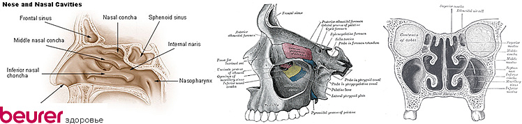Действие назального душа