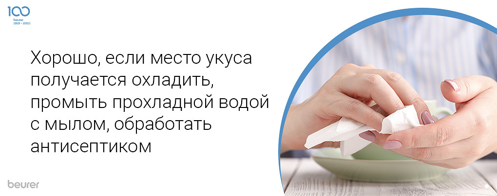 Хорошо, если место укуса получается охладить, промыть холодной водой с мылом, обработать антисептиком