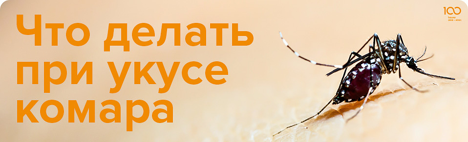 Что делать при укусе комара
