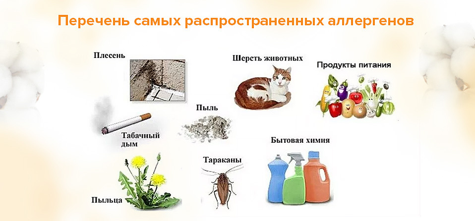 Перечень самых распространенных аллергенов