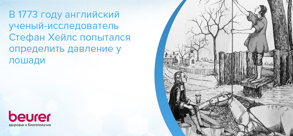 В 1773 году английский ученый-исследователь Стефан Хейлс попытался определить давление у лошади