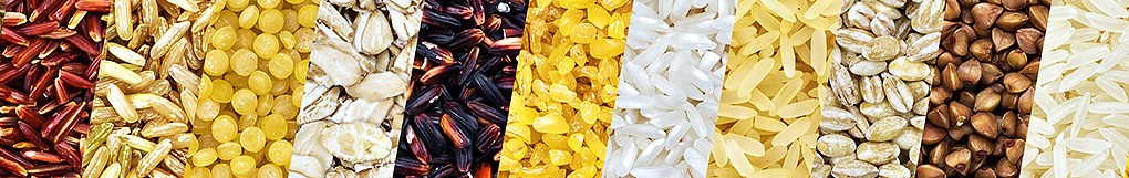 питание питание