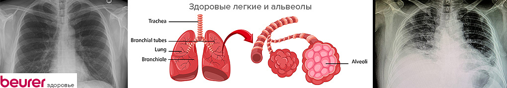 пульсоксиметры Beurer