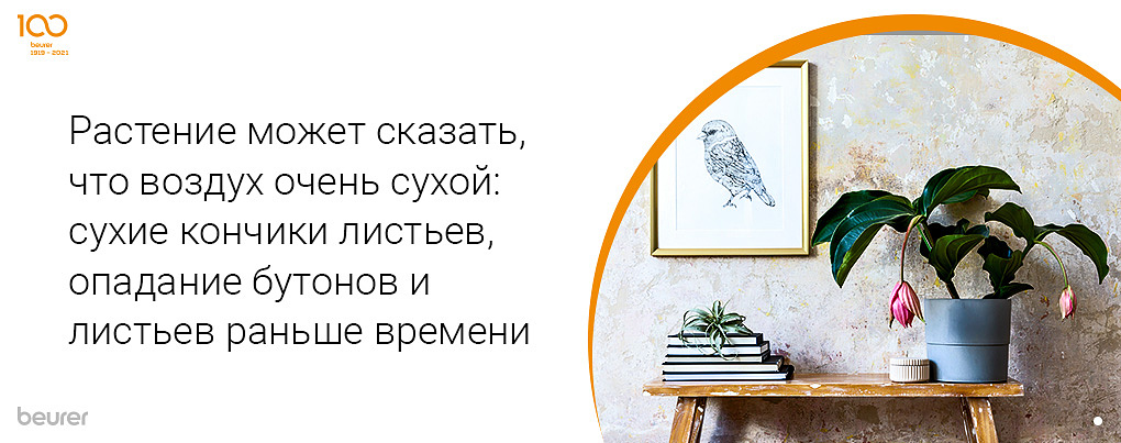 Растание может сказать, что воздух сухой: сухие кончики листьев, опадание бутонов и листьев раньше времени