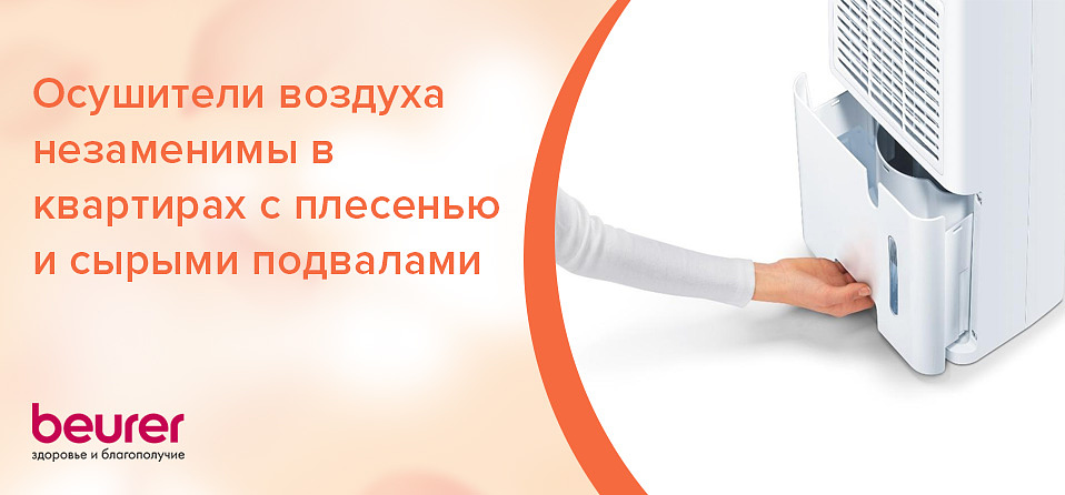 Осушители воздуха незаменимы в квартирах с плесенью и сырыми подвалами