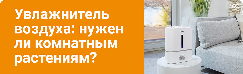 Нужен ли комнатным растениям увлажнитель воздуха