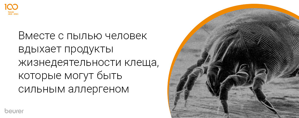 Вместе с пылью человек вдыхает продукты жизнедеятельности клеща, которые могут быть сильным аллергеном