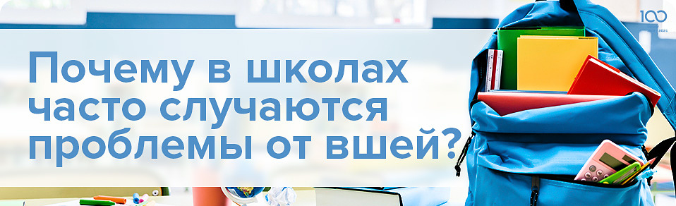Почему в школах часто случаются проблемы от вшей?
