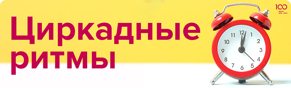 Циркадные ритмы