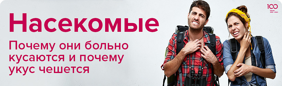 Насекомые. Почему они больно кусаются и почему укус чешется